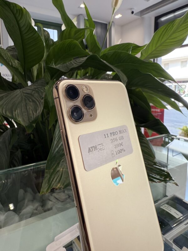 Iphone 11 Pro Max – 256 gb (usato garantito) - immagine 3