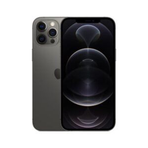 Iphone 12 Pro Max - 256 gb (usato garantito)